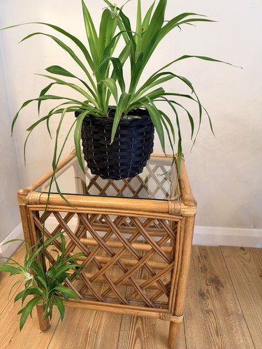 Vintage rattan glass lattice - vintage,